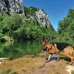 50 * Šestanovac